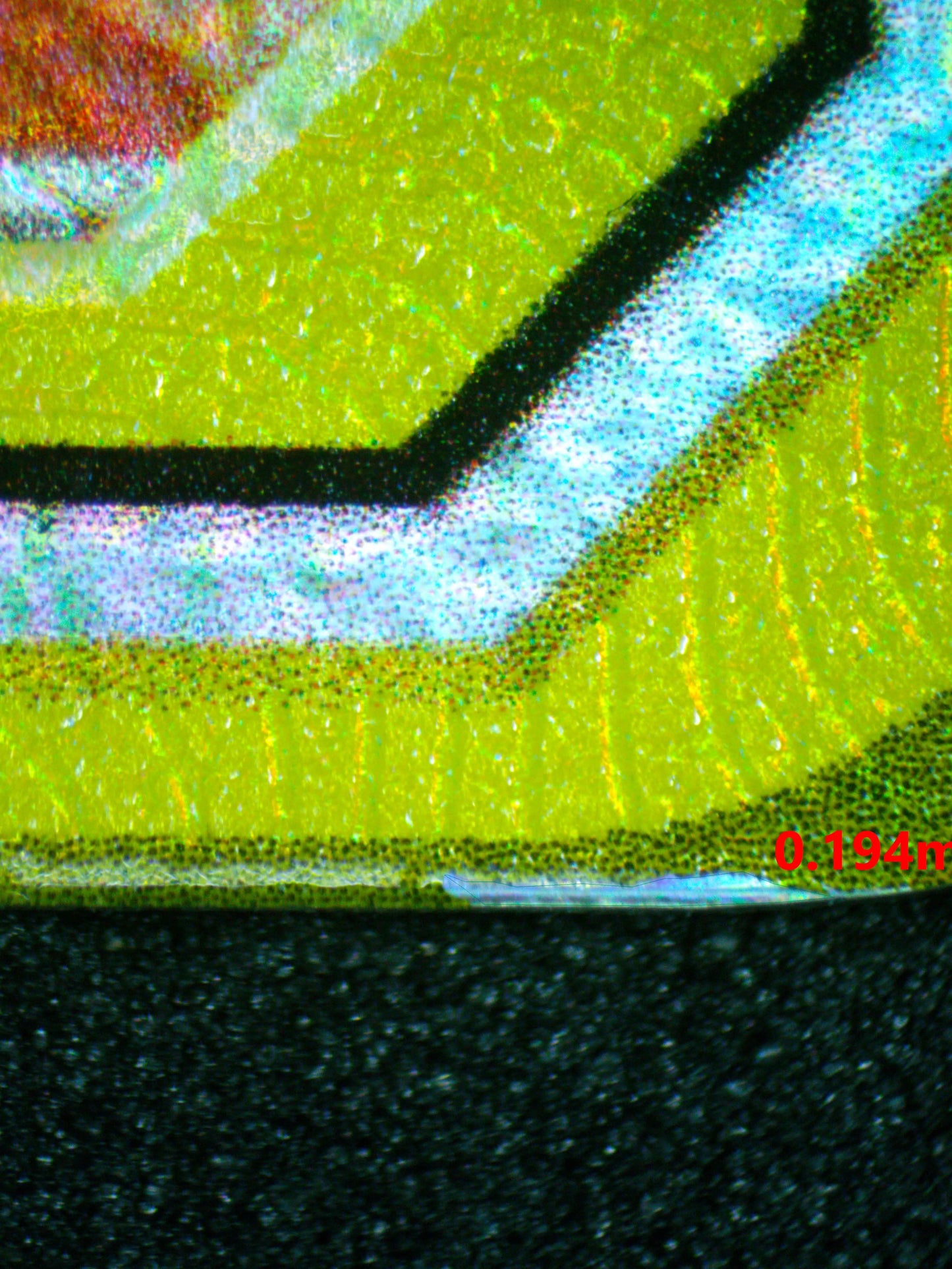 04092 MALLOW & LANA - ValueUp