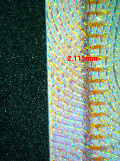 04092 MALLOW & LANA - ValueUp