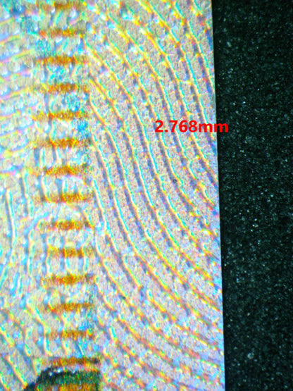 04092 MALLOW & LANA - ValueUp