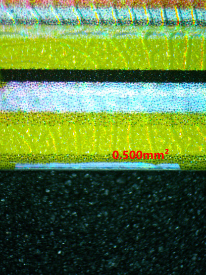 04092 MALLOW & LANA - ValueUp