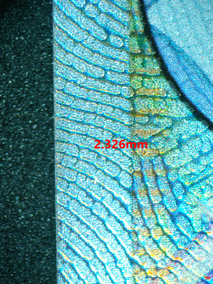 04095 IRIDA - ValueUp