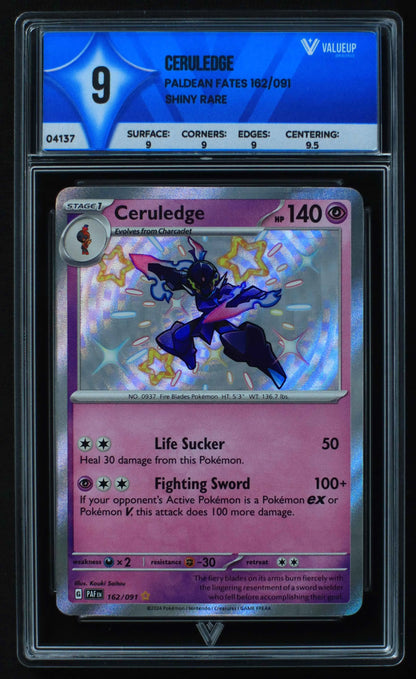 04137 CERULEDGE - ValueUp