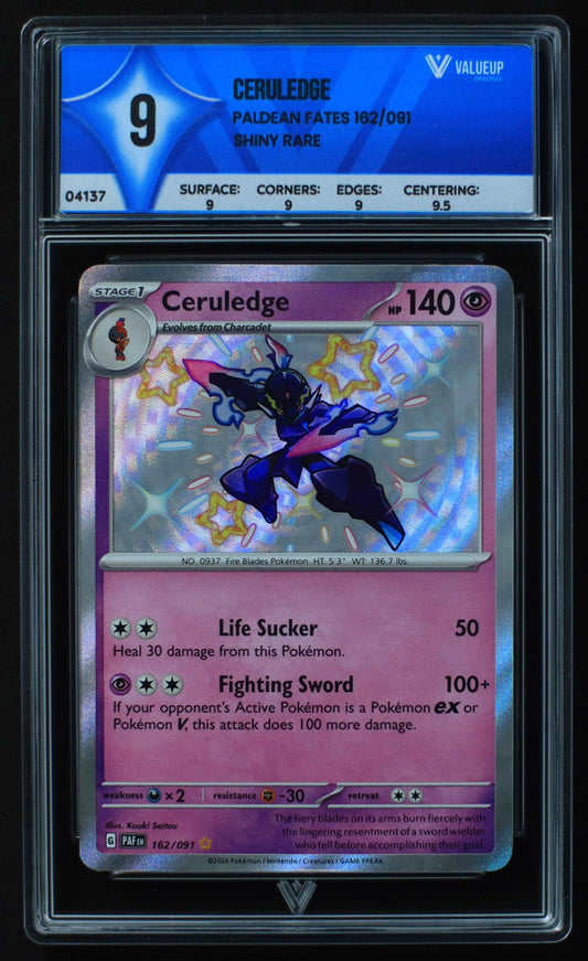 04137 CERULEDGE - ValueUp