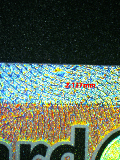 04148 CHARIZARD EX - ValueUp