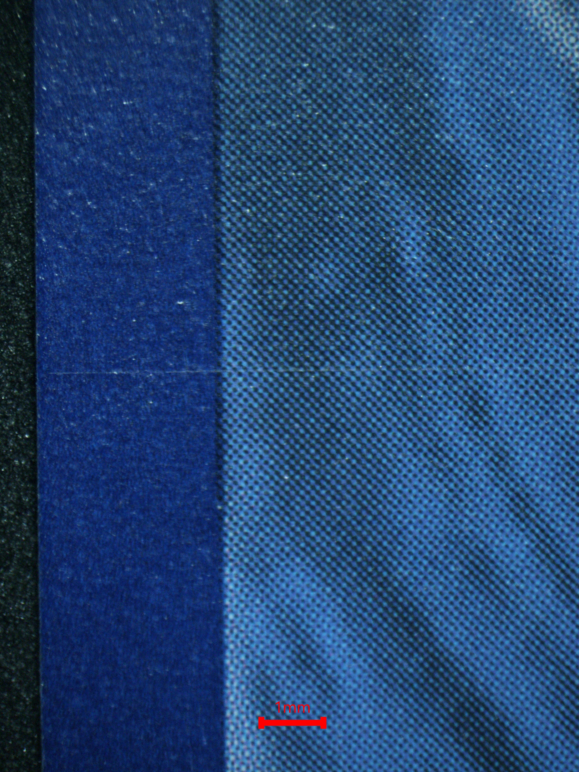 04160 ROARING MOON EX - ValueUp