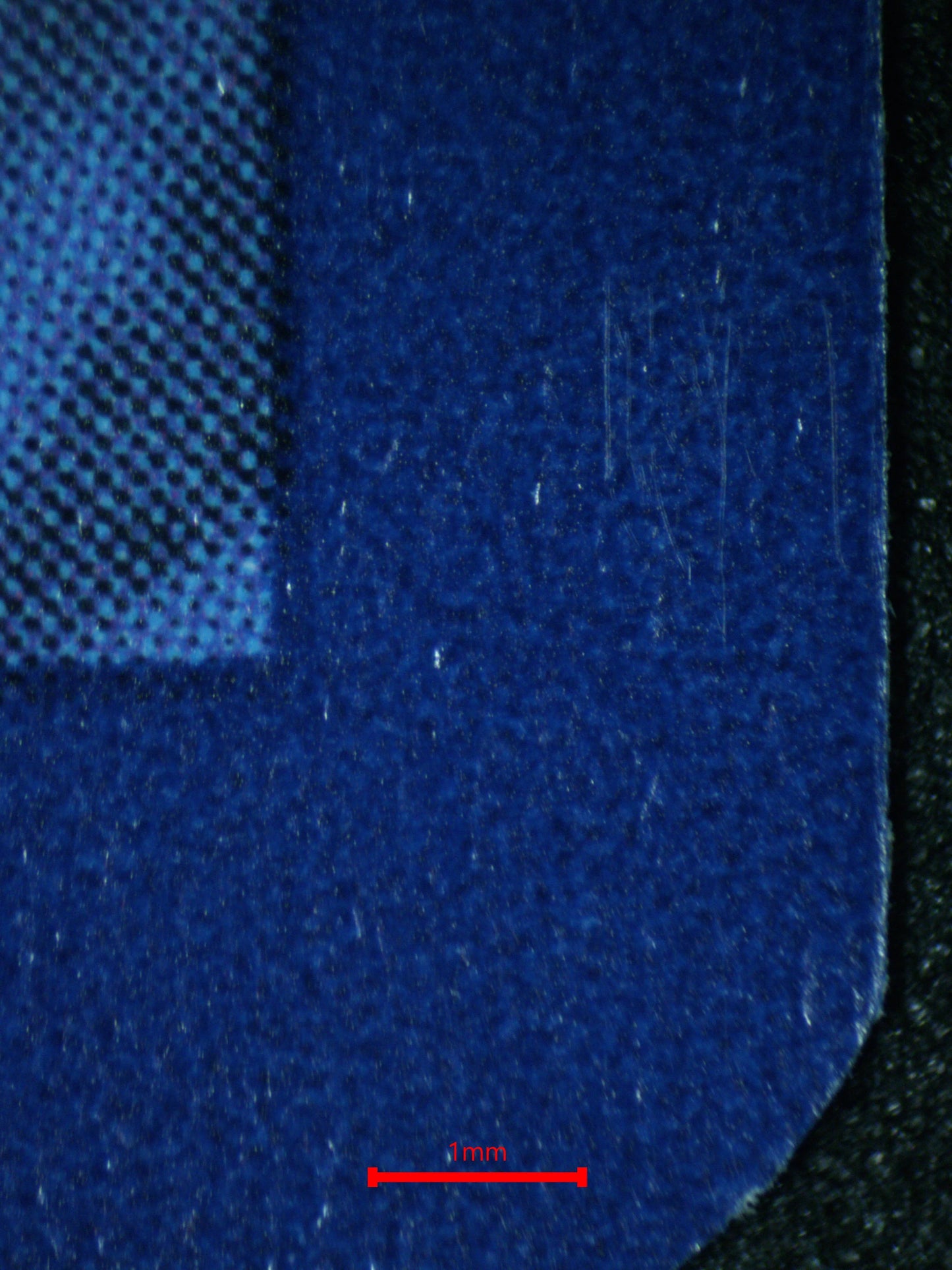 04164 POPPY - ValueUp