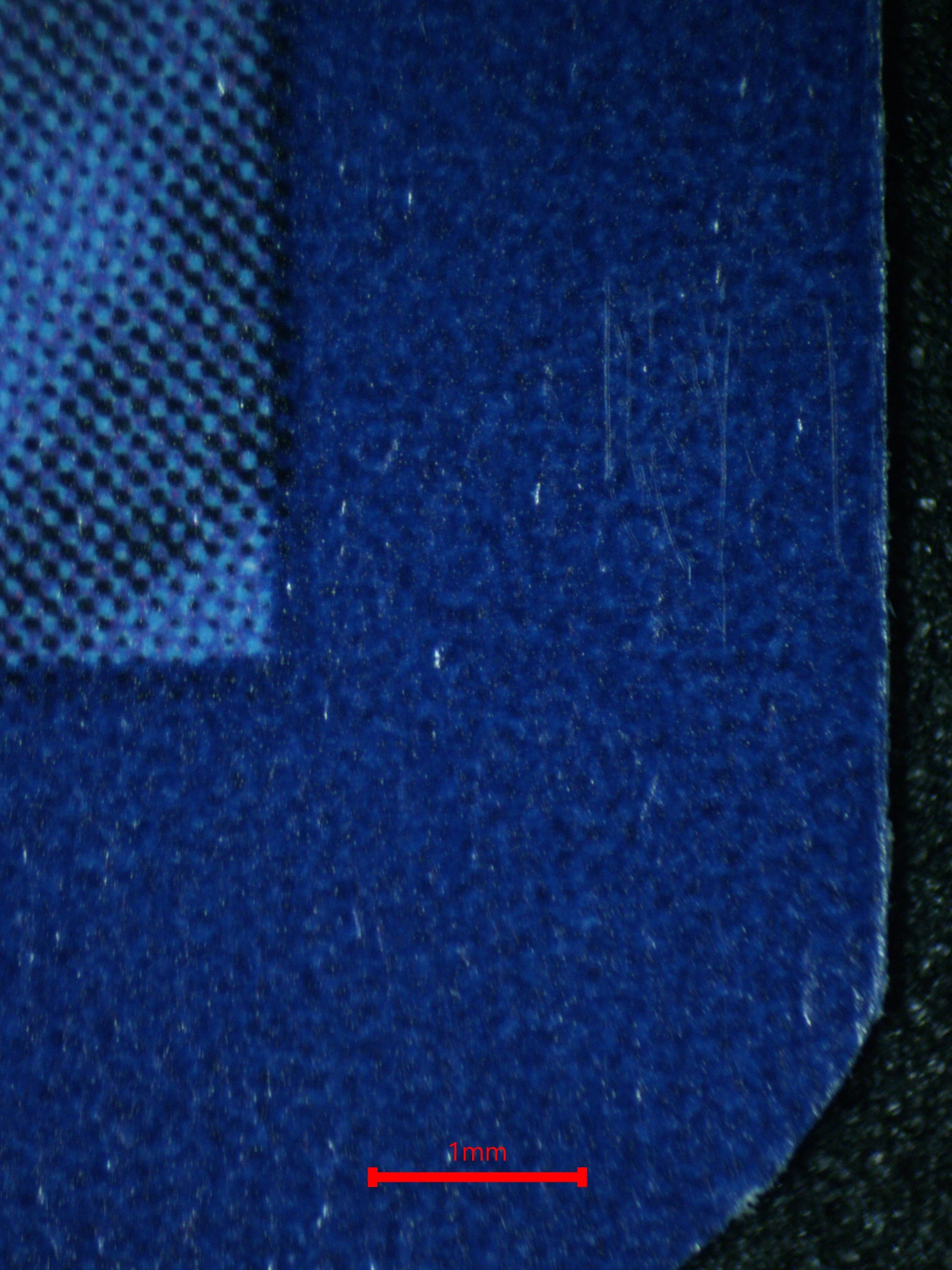 04164 POPPY - ValueUp