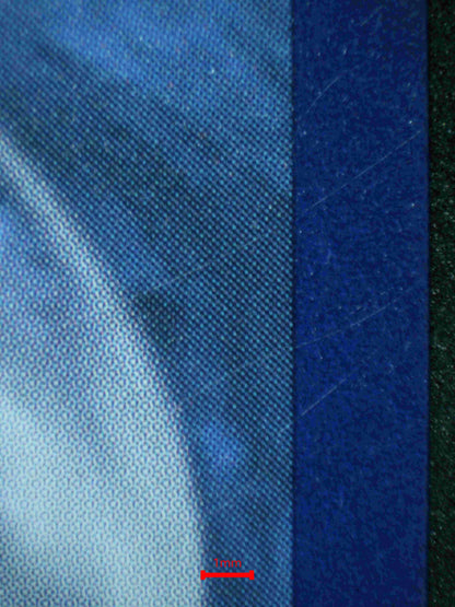 04166 BLAZIKEN VMAX - ValueUp