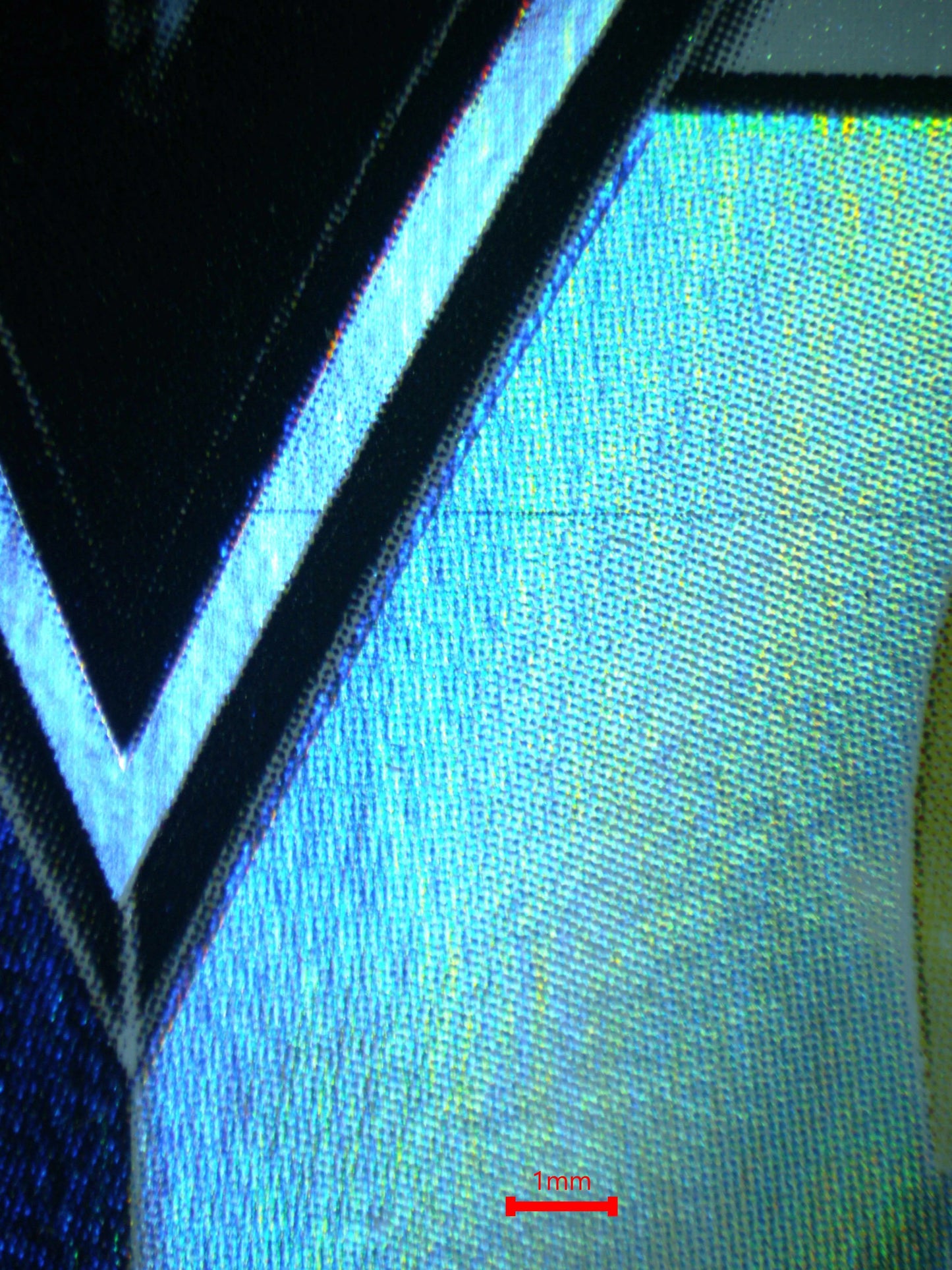 04255 ZACIAN V (JAPANESE) - ValueUp