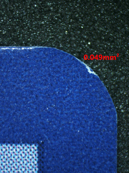 04260 BIANCA'S DEVOTION - ValueUp