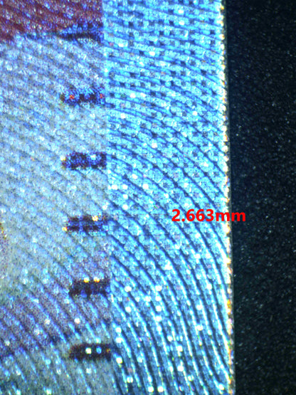 04260 BIANCA'S DEVOTION - ValueUp