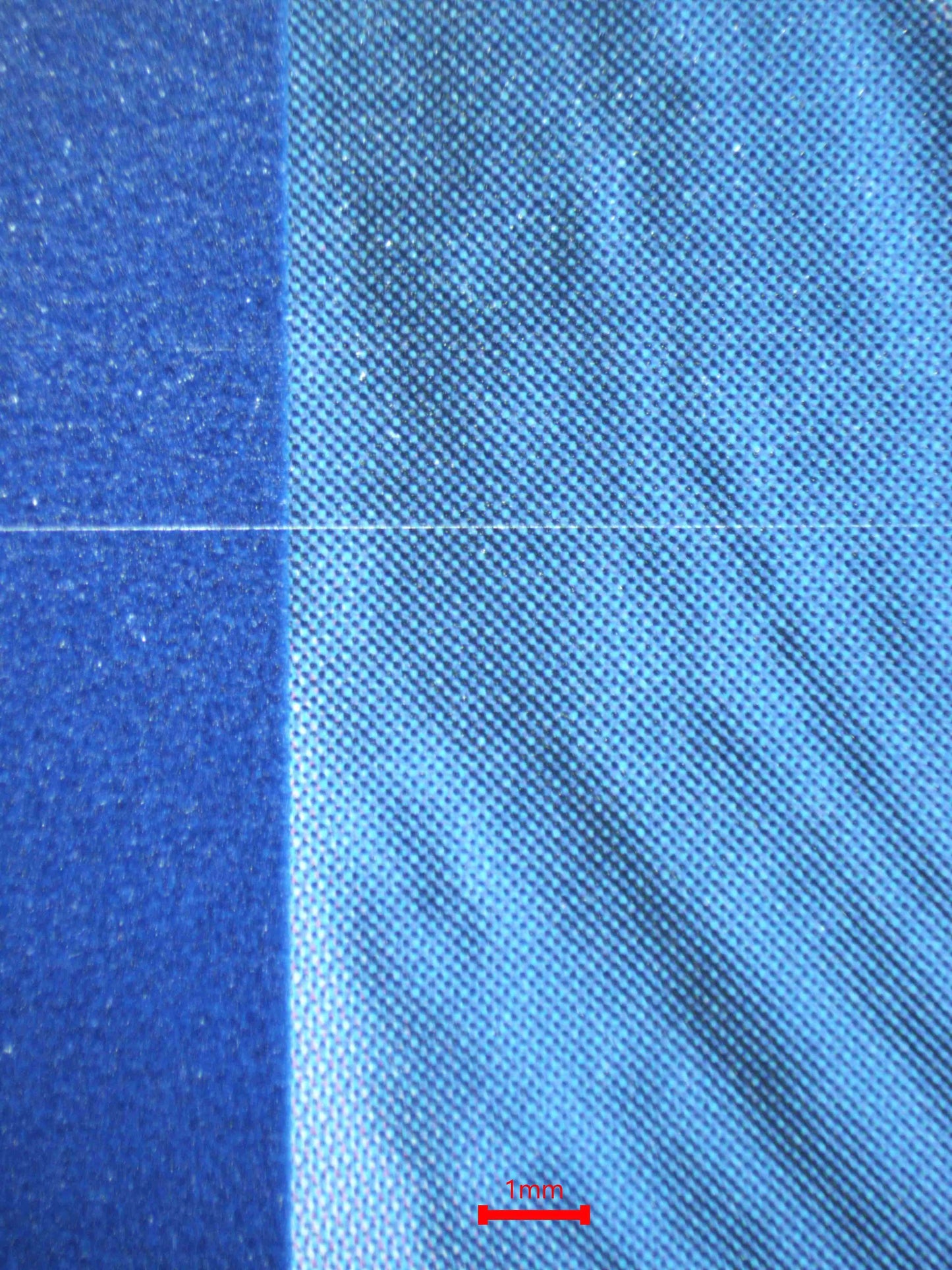 04260 BIANCA'S DEVOTION - ValueUp