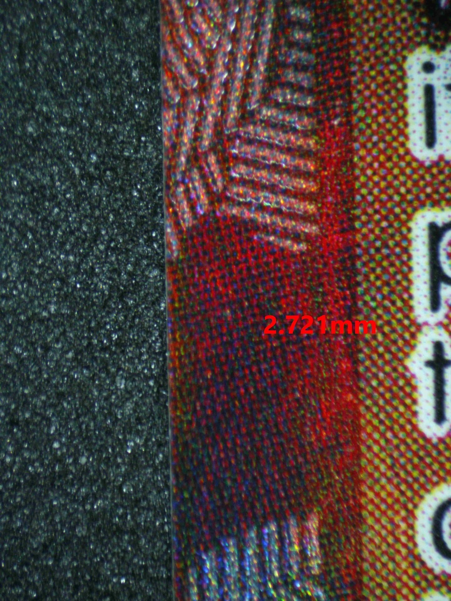 04269 "BLUE ROSE" EVILEYE - ValueUp