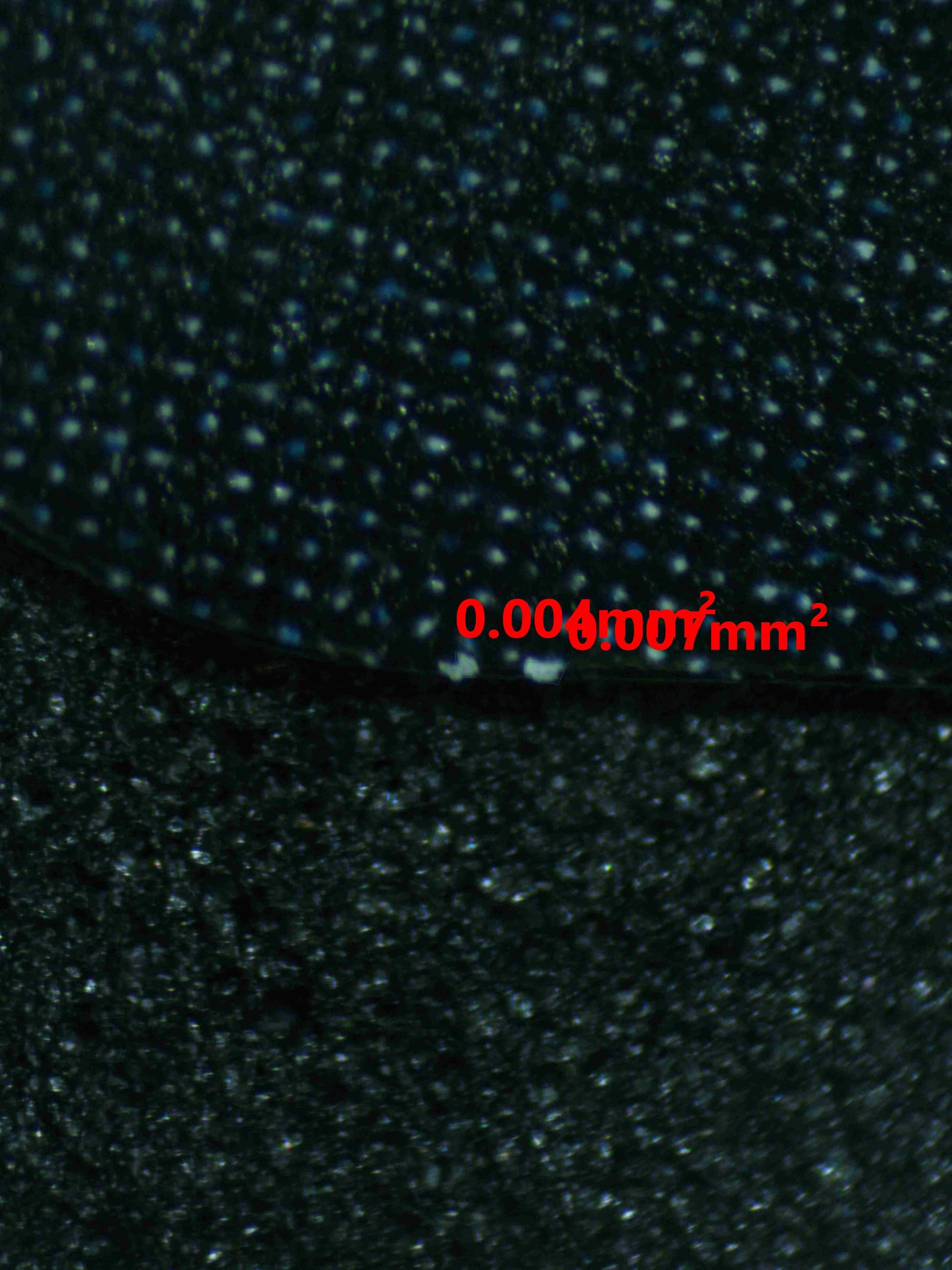 04269 "BLUE ROSE" EVILEYE - ValueUp