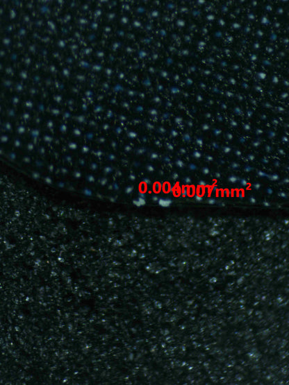 04269 "BLUE ROSE" EVILEYE - ValueUp