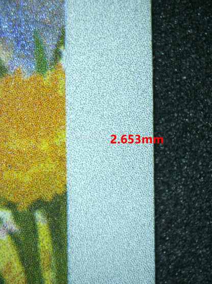 04296 SPRIGATITO - ValueUp