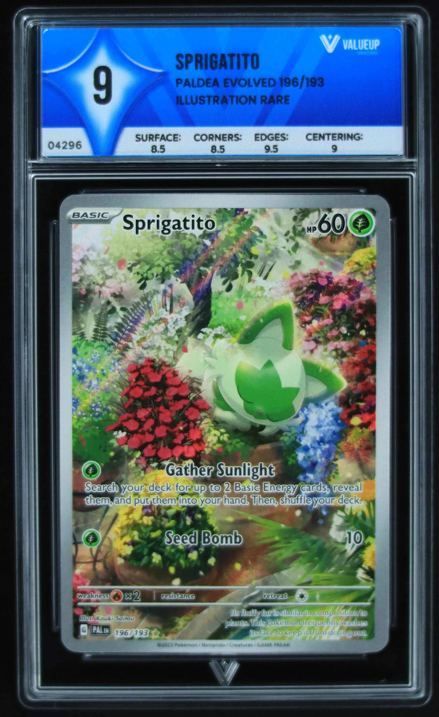 04296 SPRIGATITO - ValueUp