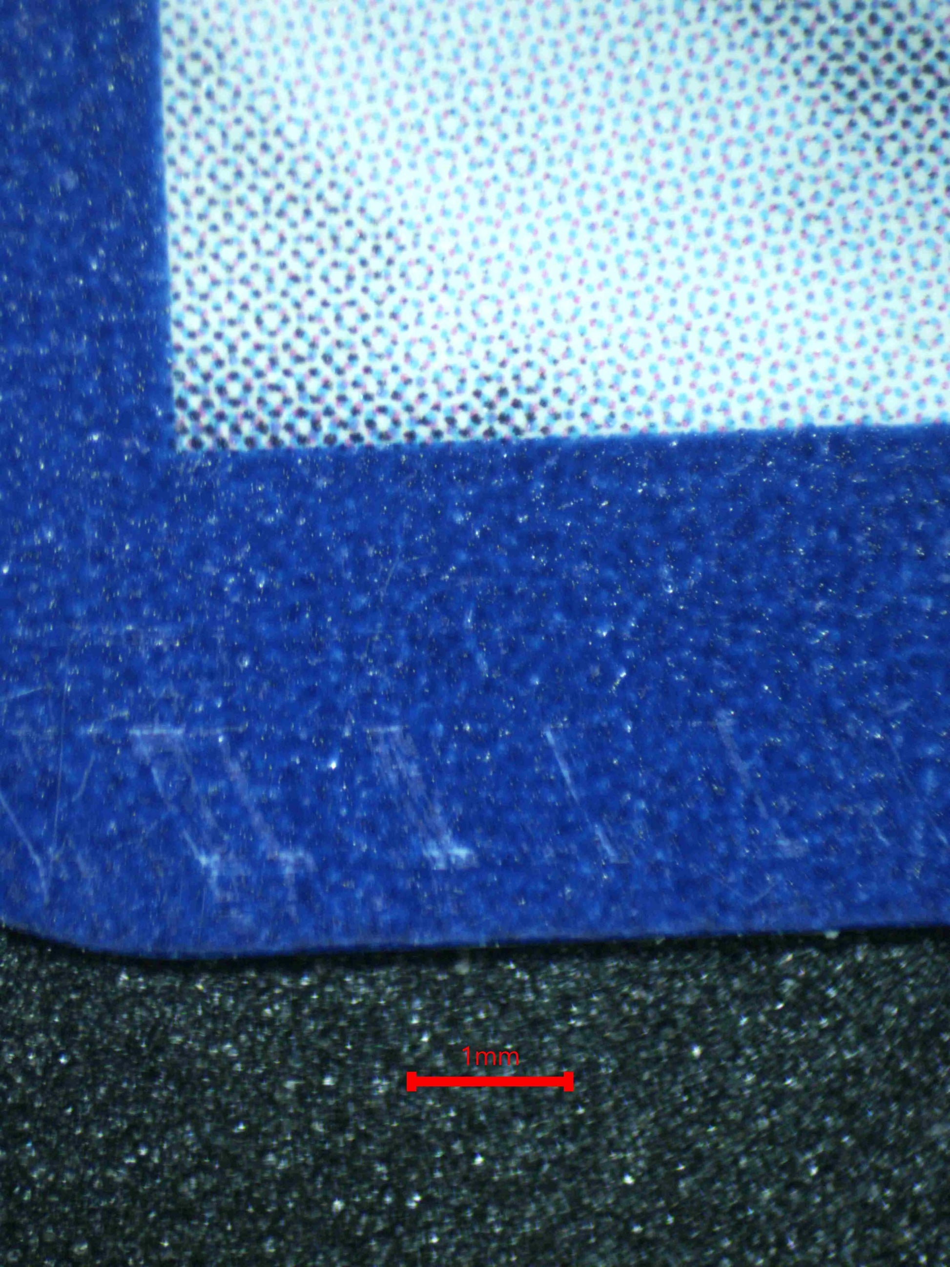 04302 M SCEPTILE EX - ValueUp