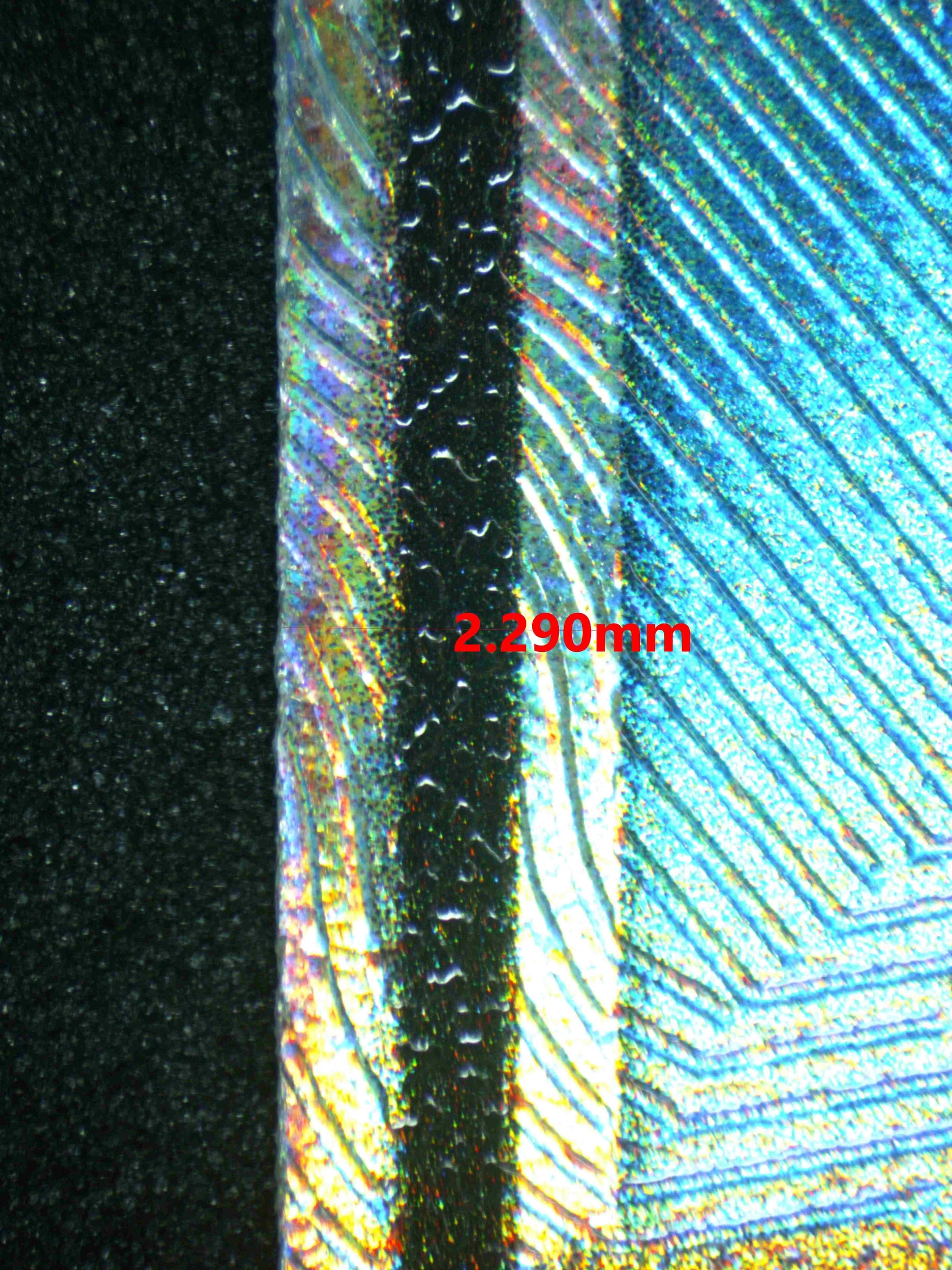 04303 ALOLAN NINETALES GX - ValueUp