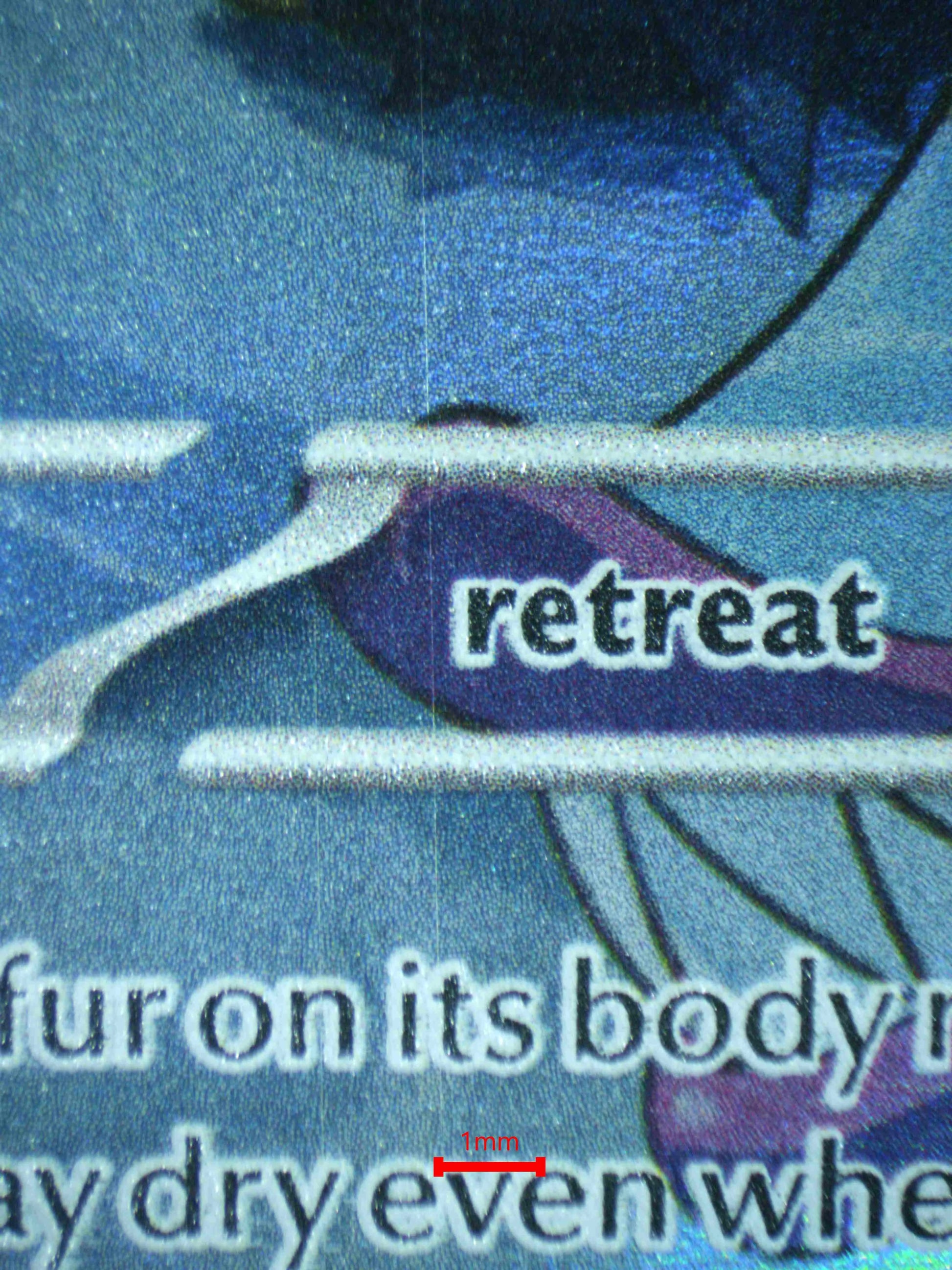 04313 MARILL - ValueUp