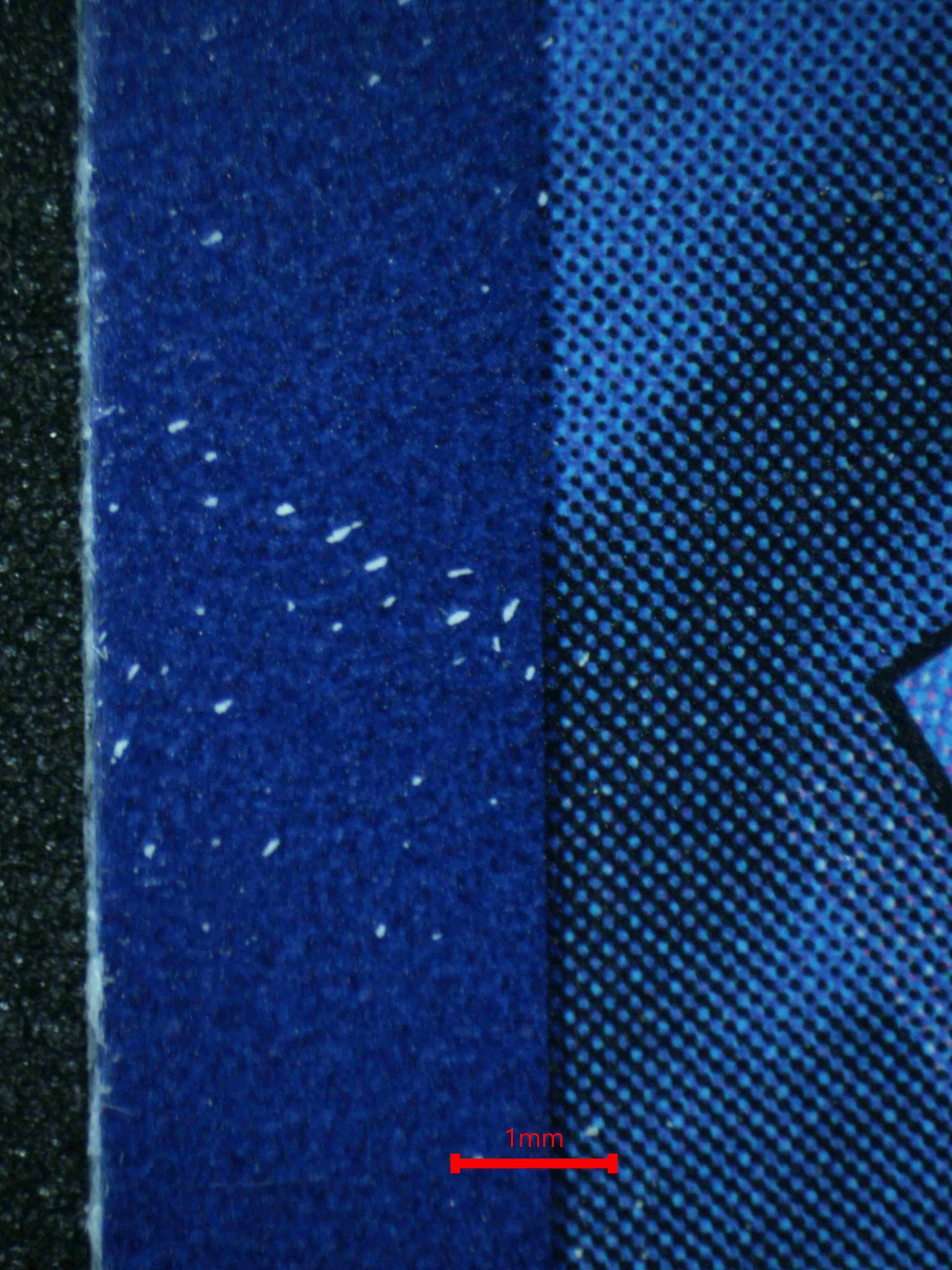 04316 VENUSAUR EX - ValueUp