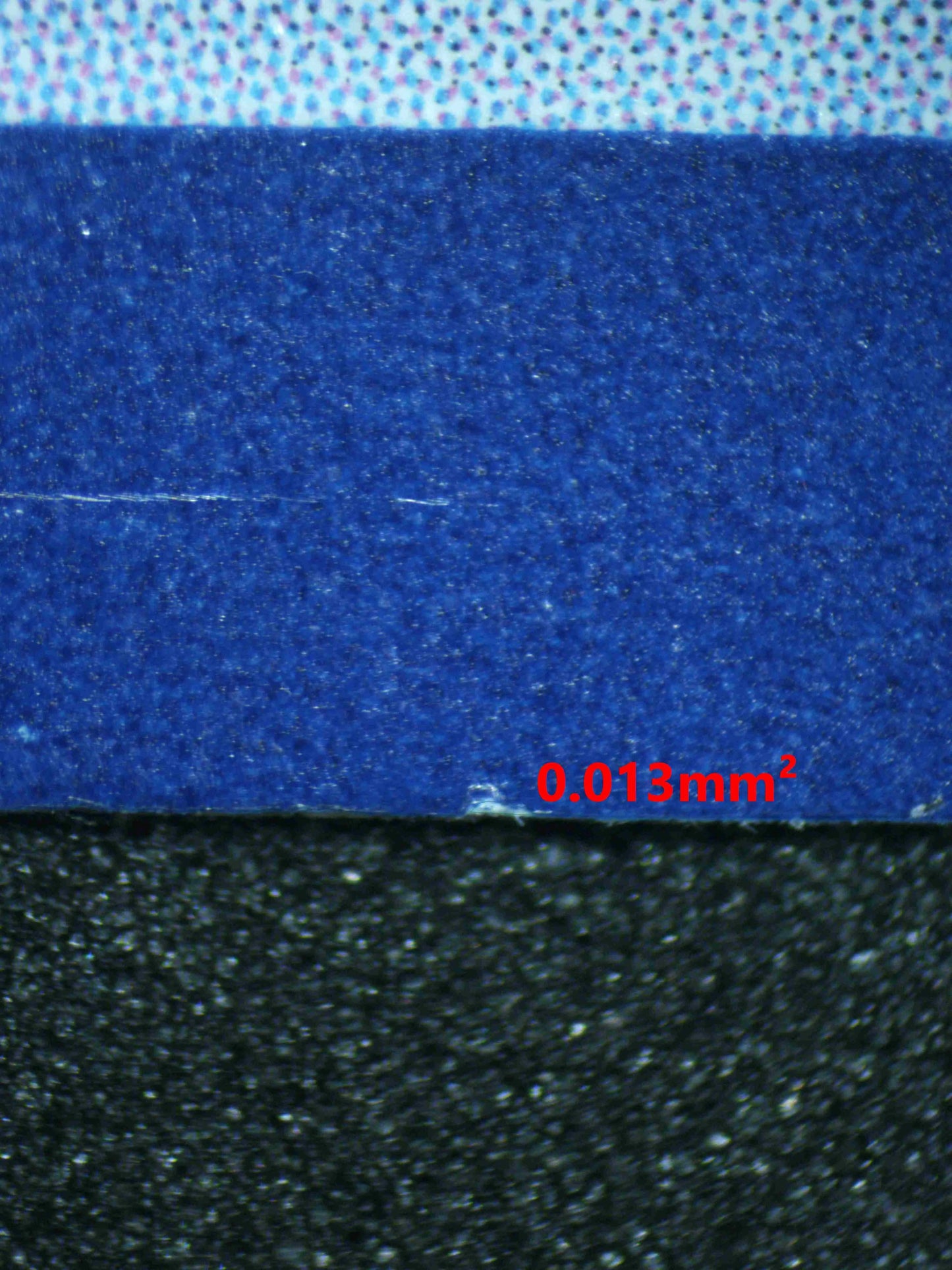 04321 SQUAWKABILLY EX - ValueUp