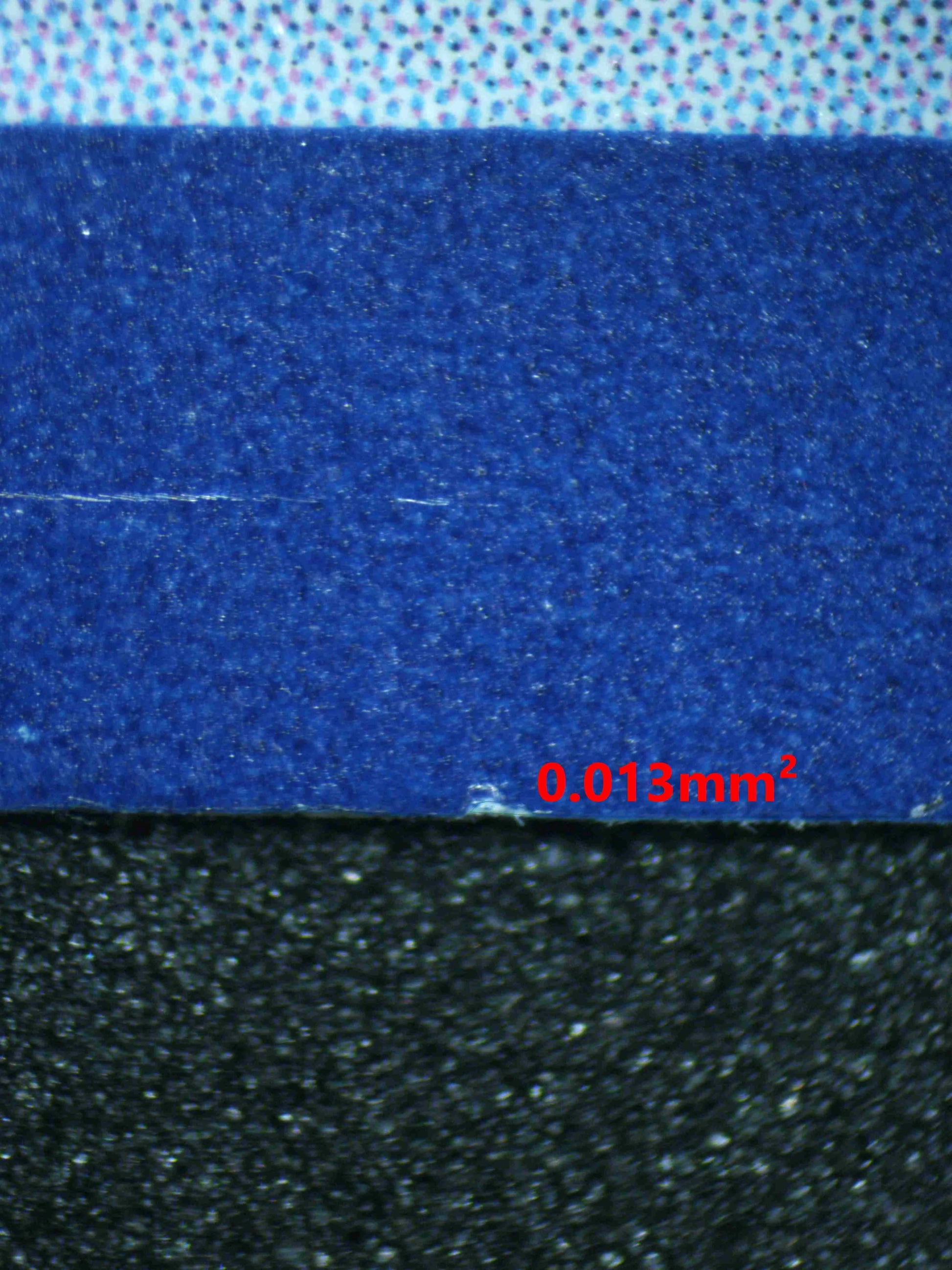 04321 SQUAWKABILLY EX - ValueUp