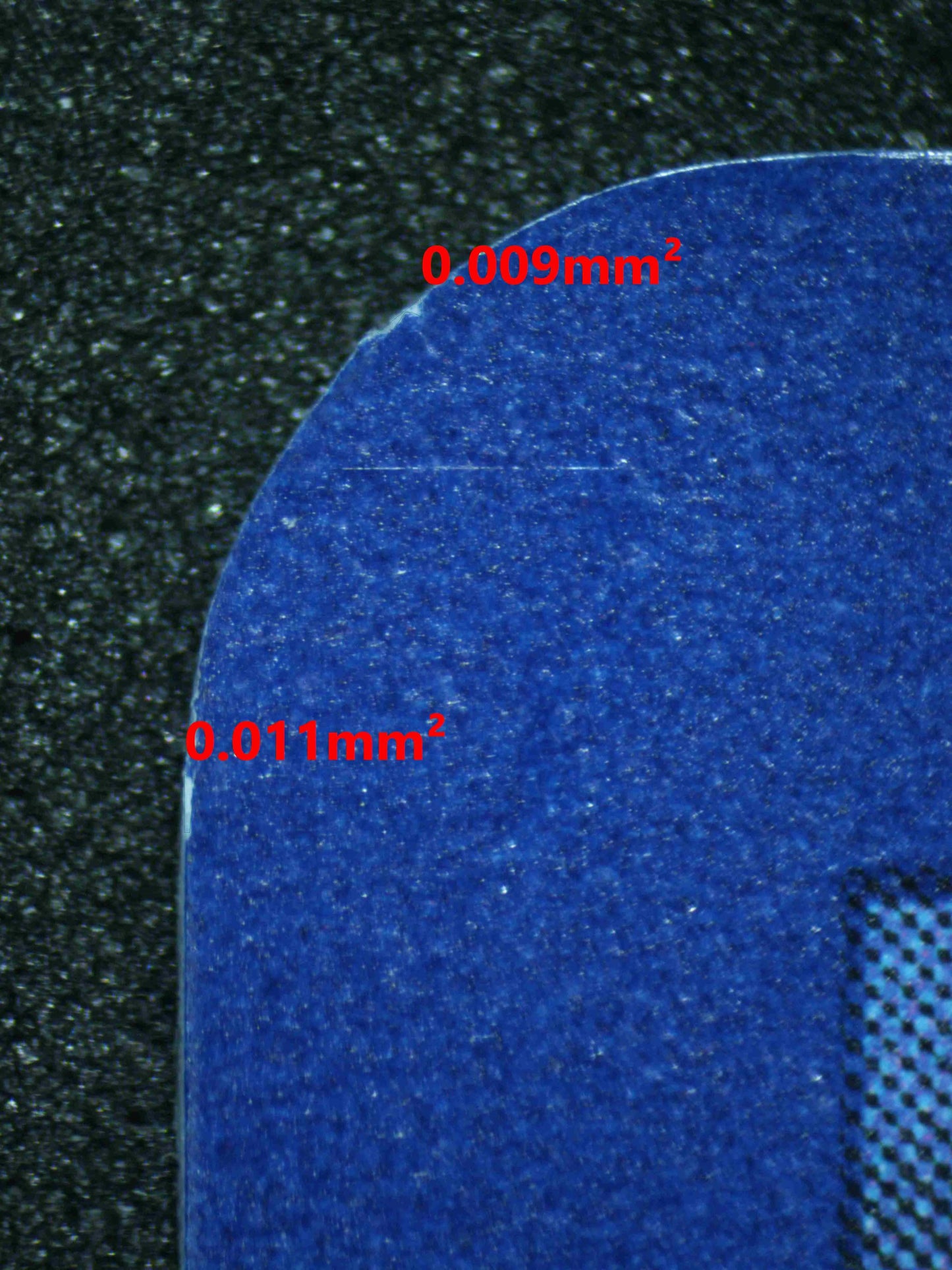 04321 SQUAWKABILLY EX - ValueUp