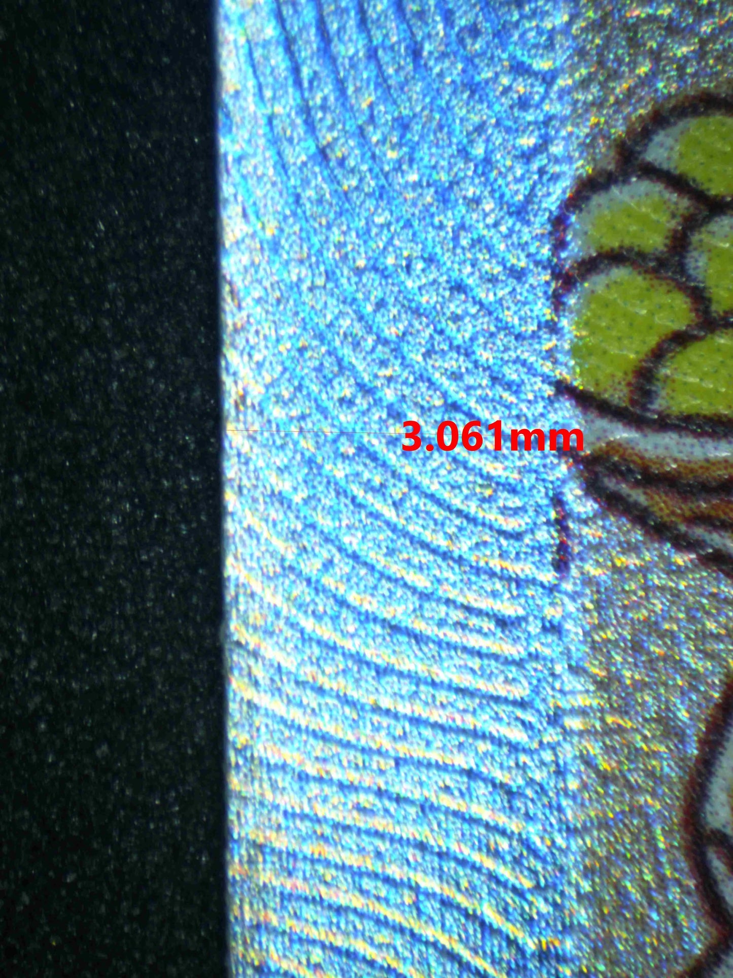 04337 MACHAMP V (SPANISH) - ValueUp