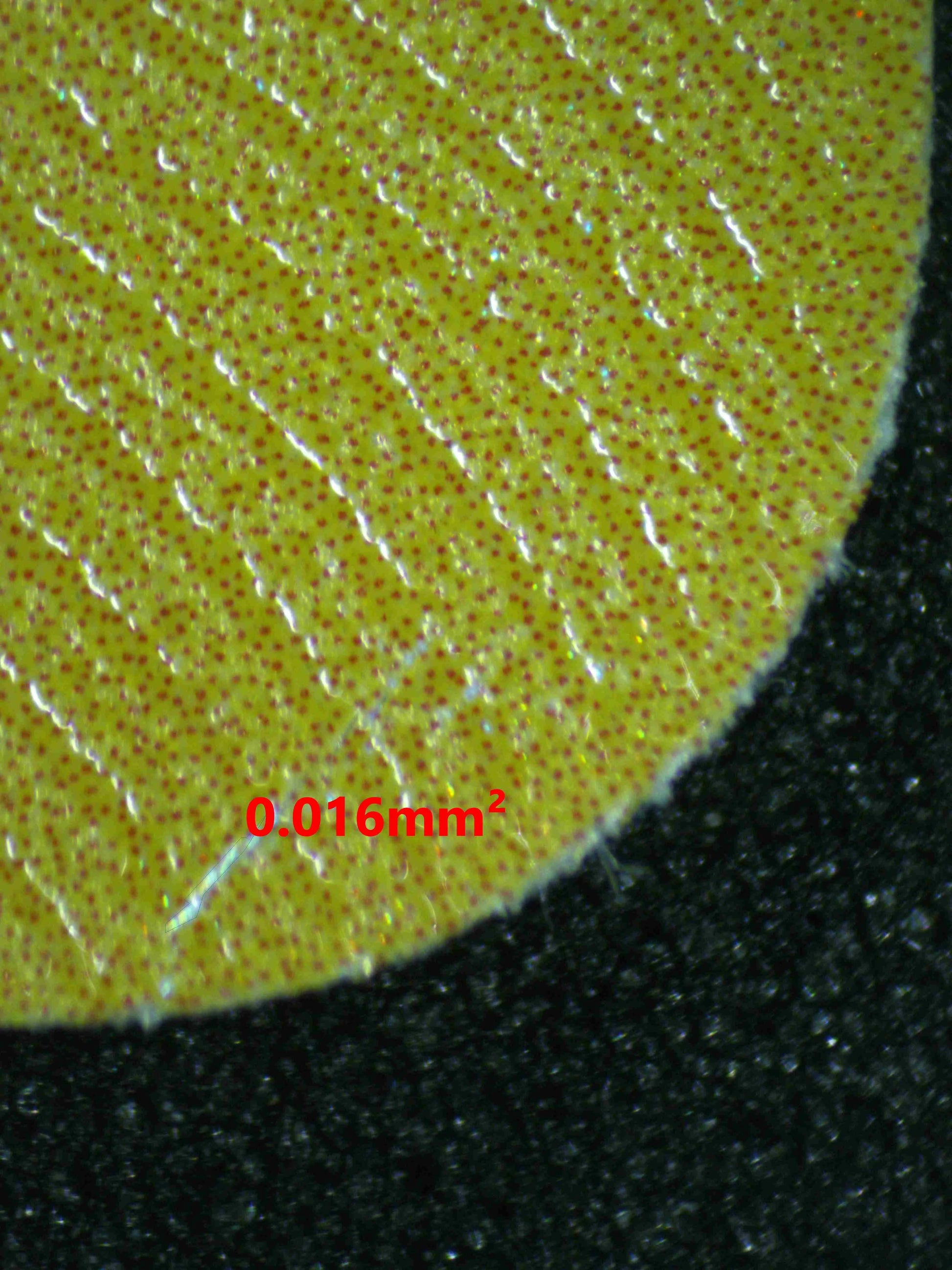 04369 CHARIZARD - ValueUp