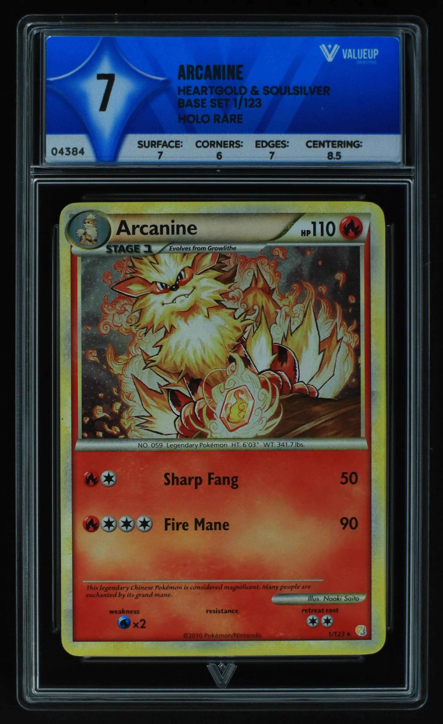 04384 ARCANINE - ValueUp