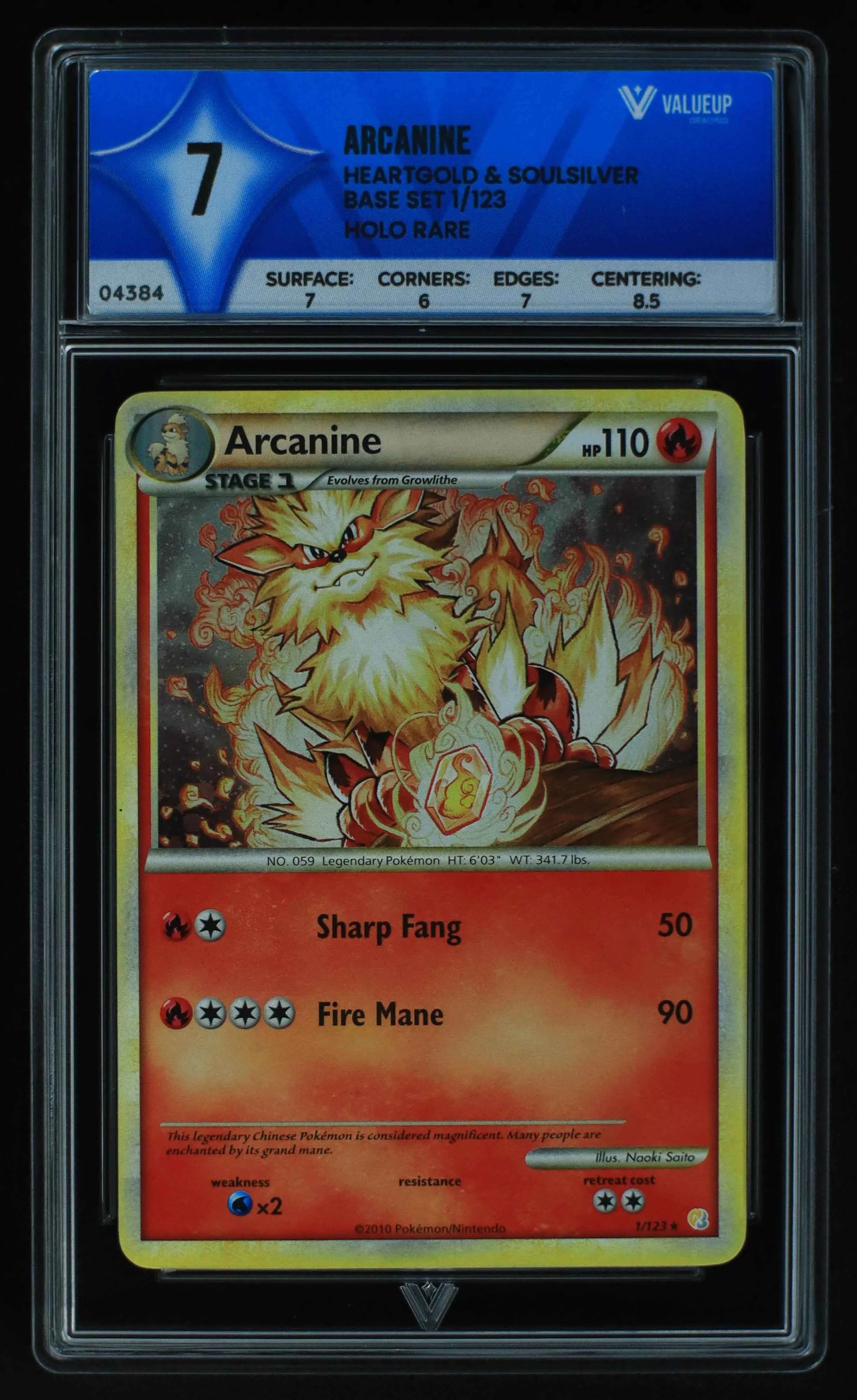 04384 ARCANINE - ValueUp