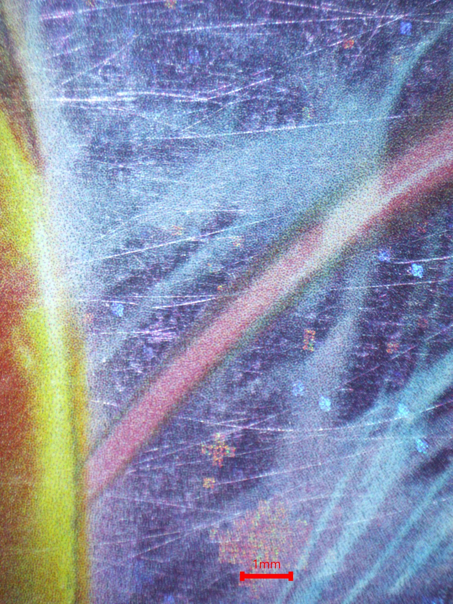 04385 DARKRAI & CRESSELIA LEGEND - ValueUp