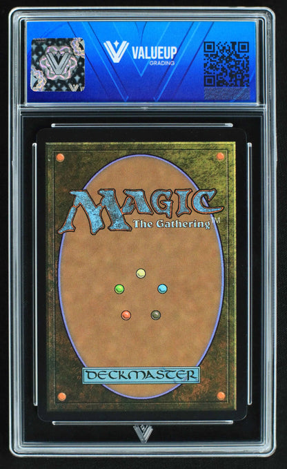 04386 SWAMP (OIL SLICK RAISED) - ValueUp