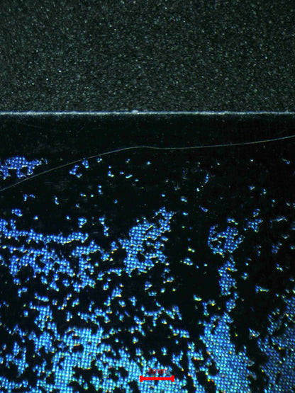 04386 SWAMP (OIL SLICK RAISED) - ValueUp