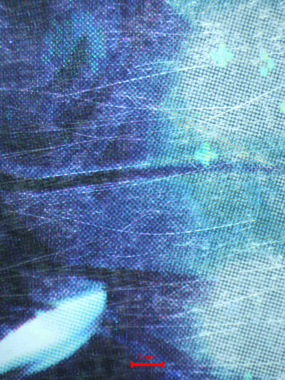 04410 VAPOREON EX - ValueUp