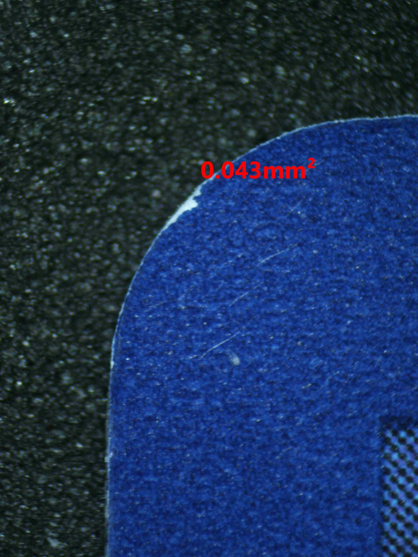 04426 MIRAIDON - ValueUp