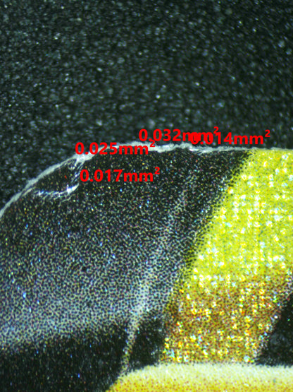 04438 GALARIAN MOLTRES V - ValueUp