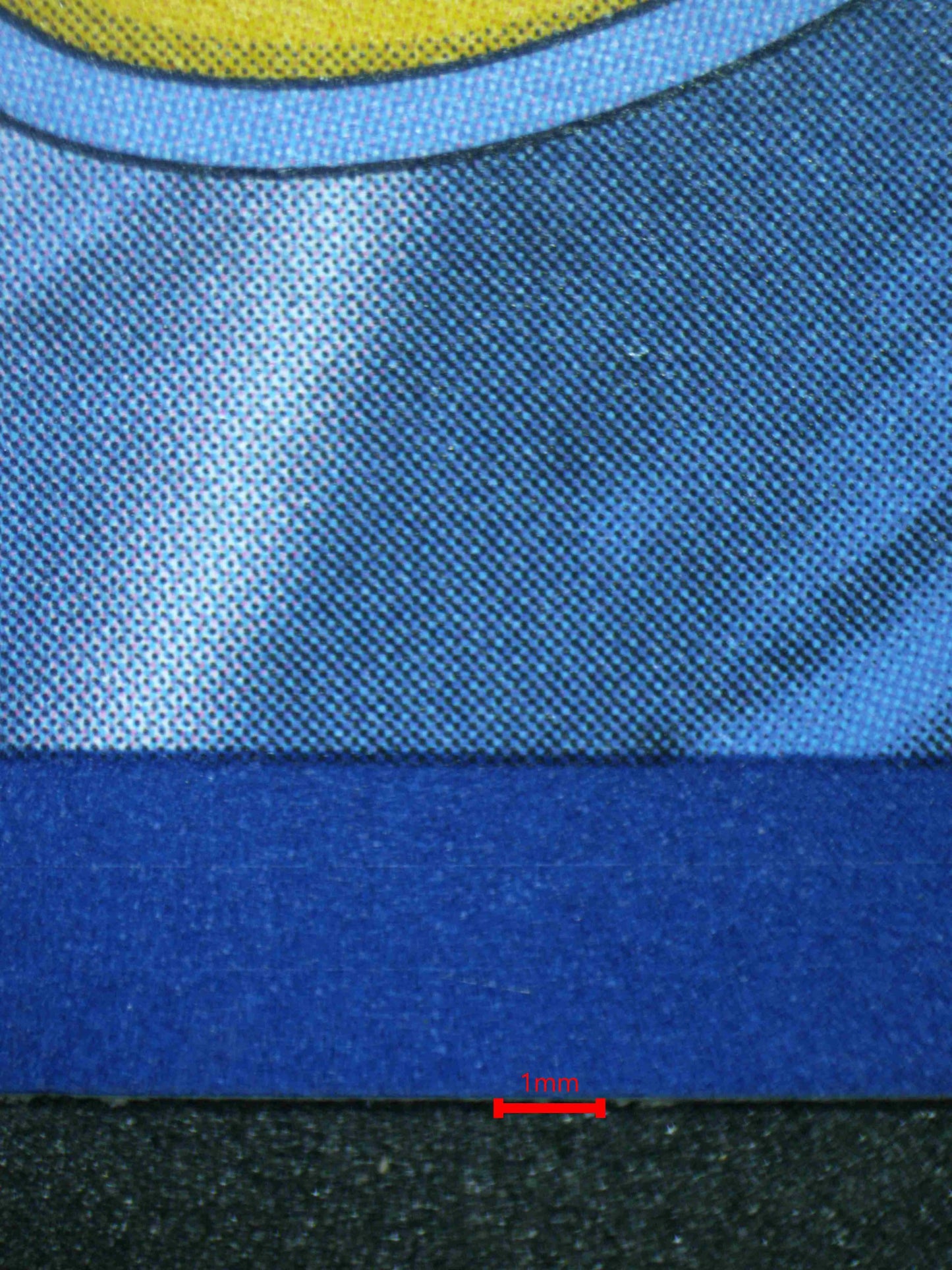 04457 WARTORTLE - ValueUp