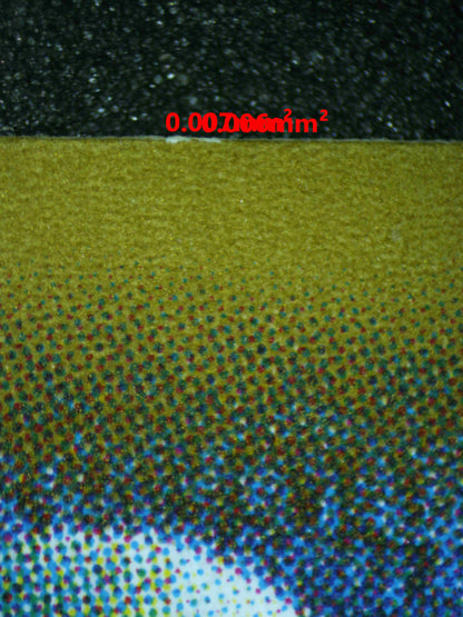 04472 VENUSAUR (JAPANESE) - ValueUp