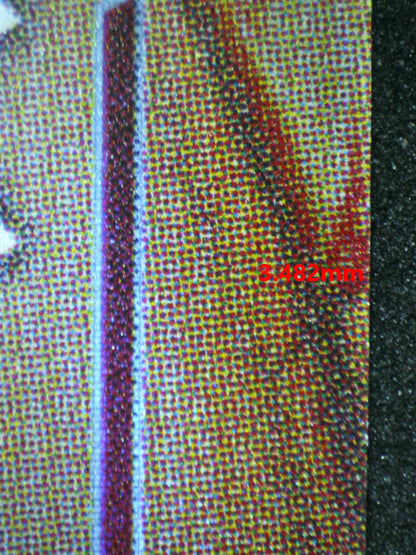 04479 RAYA - KUMANDRAN RIDER - ValueUp