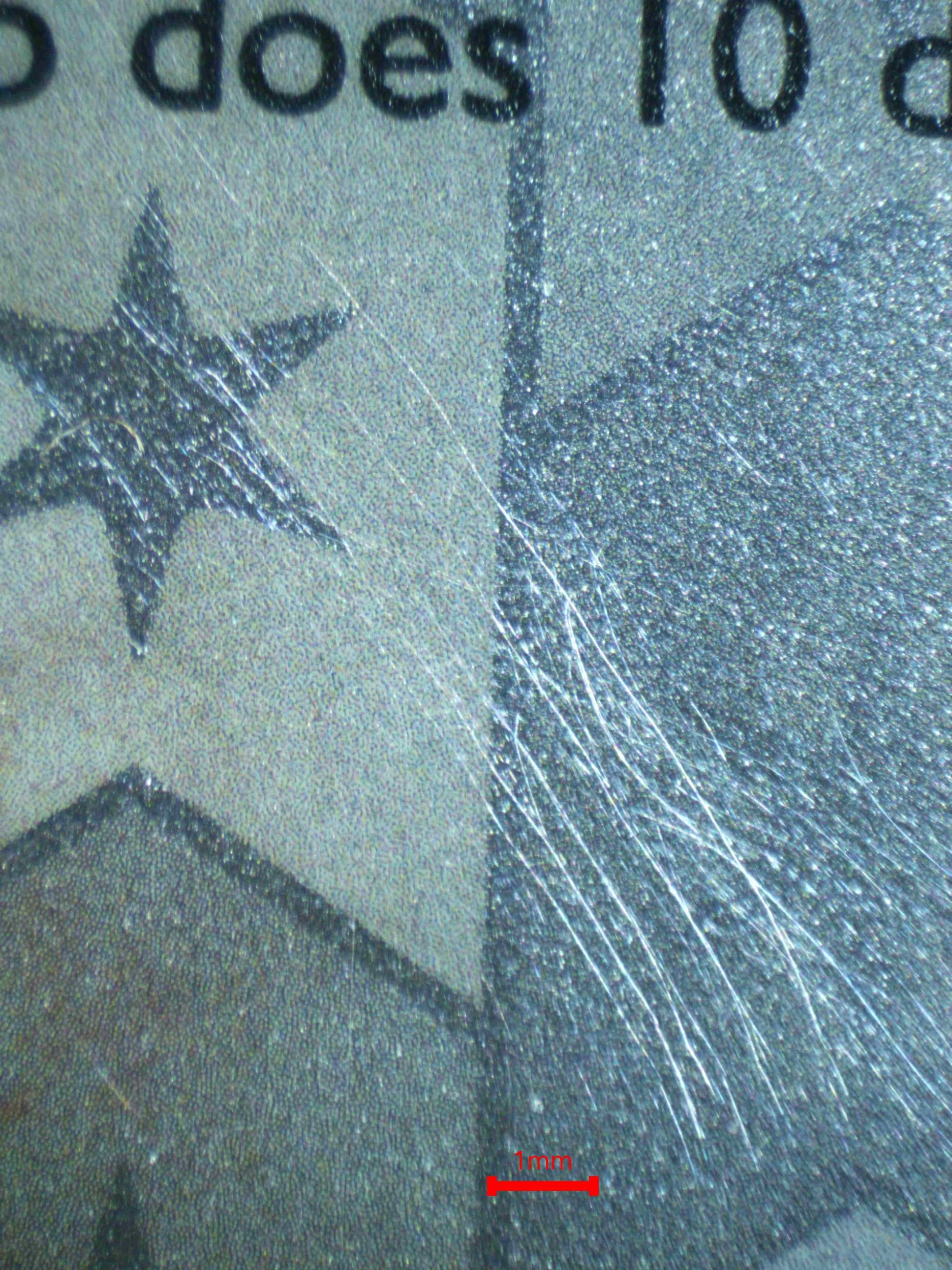 04485 DITTO (BIDOOF) - ValueUp