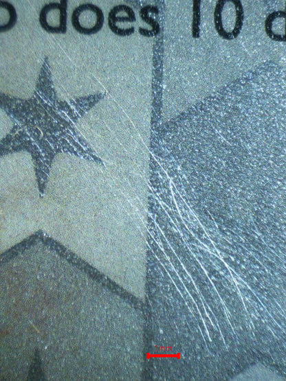 04485 DITTO (BIDOOF) - ValueUp