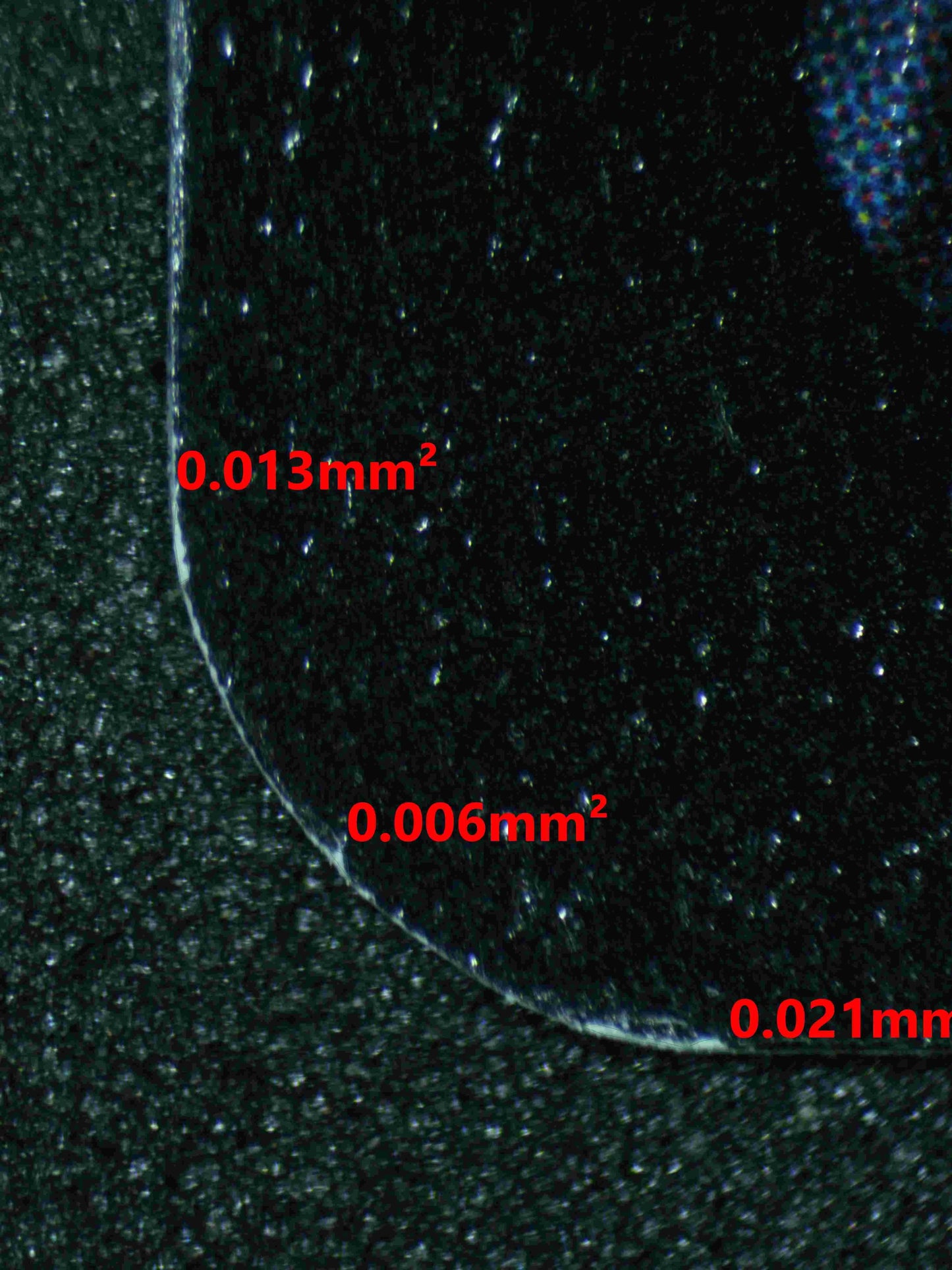 04507 MADAM ROLANDA HOOCH - ValueUp