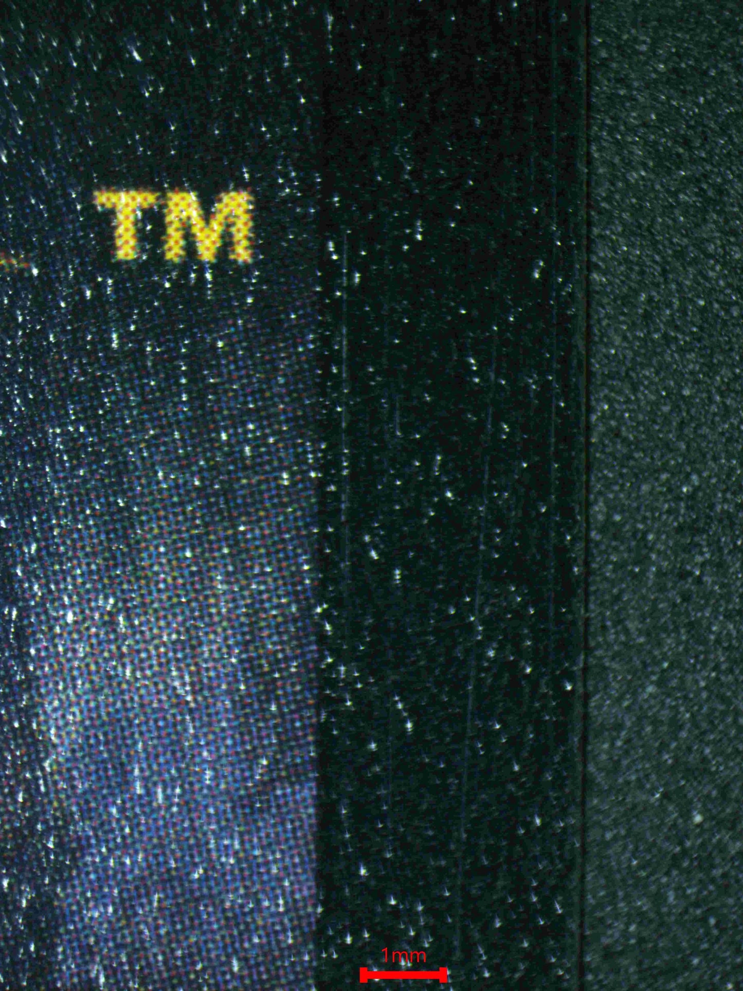 04507 MADAM ROLANDA HOOCH - ValueUp