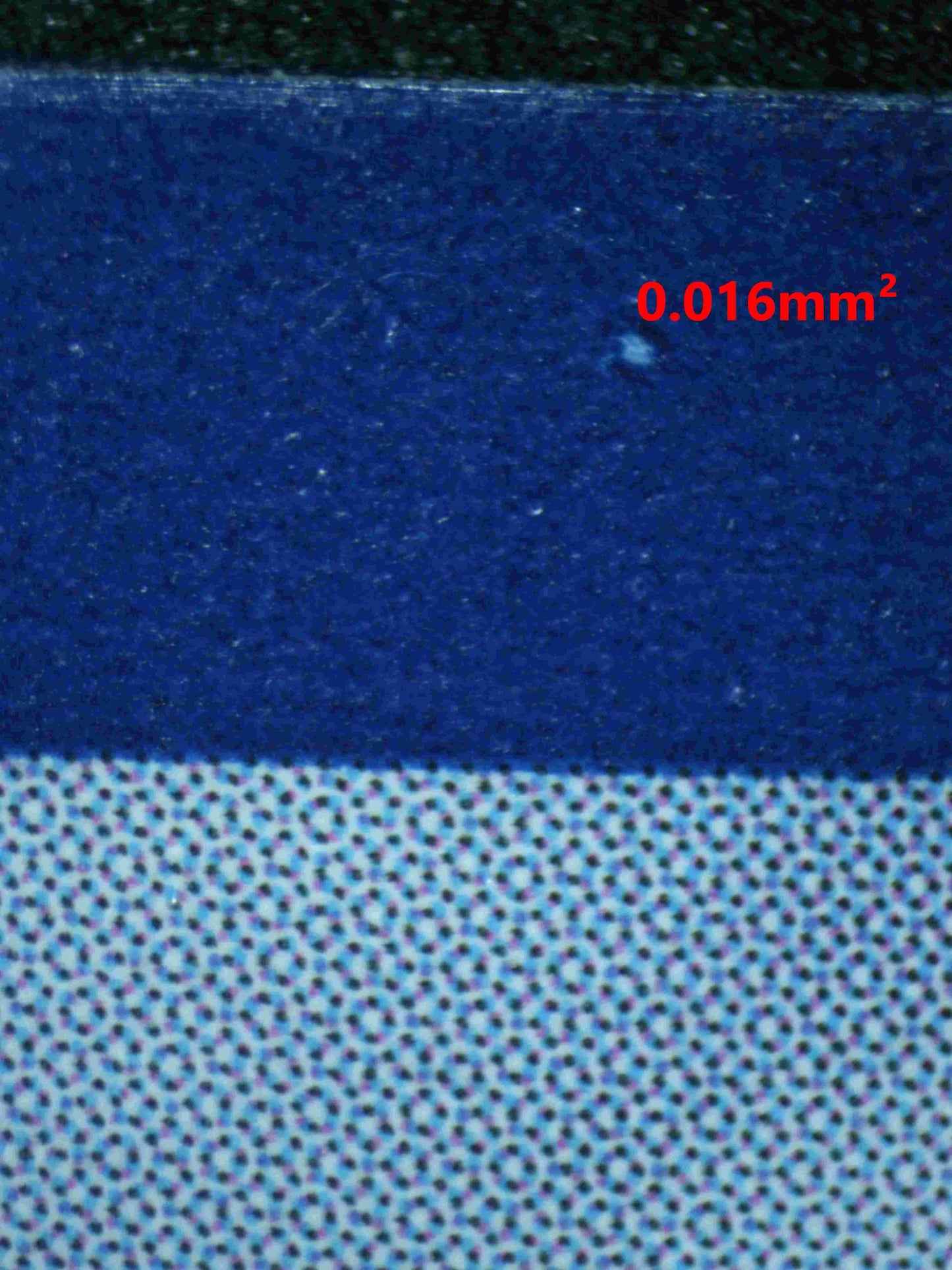 04529 WARTORTLE - ValueUp