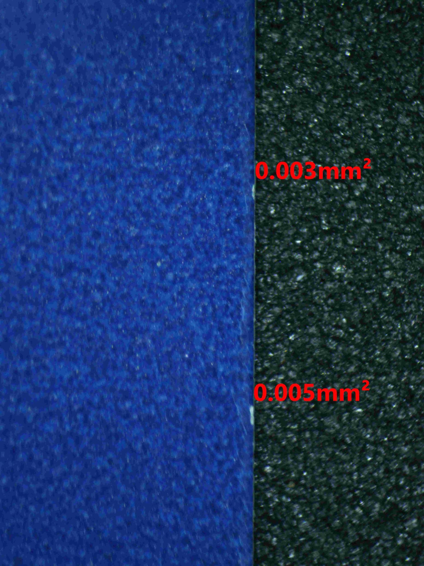 04531 BULBASAUR - ValueUp