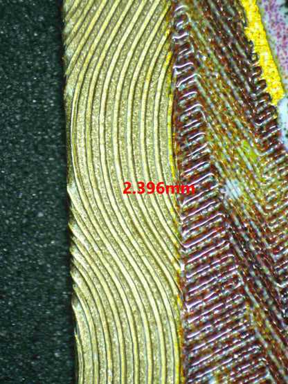 04569 MEW EX - ValueUp