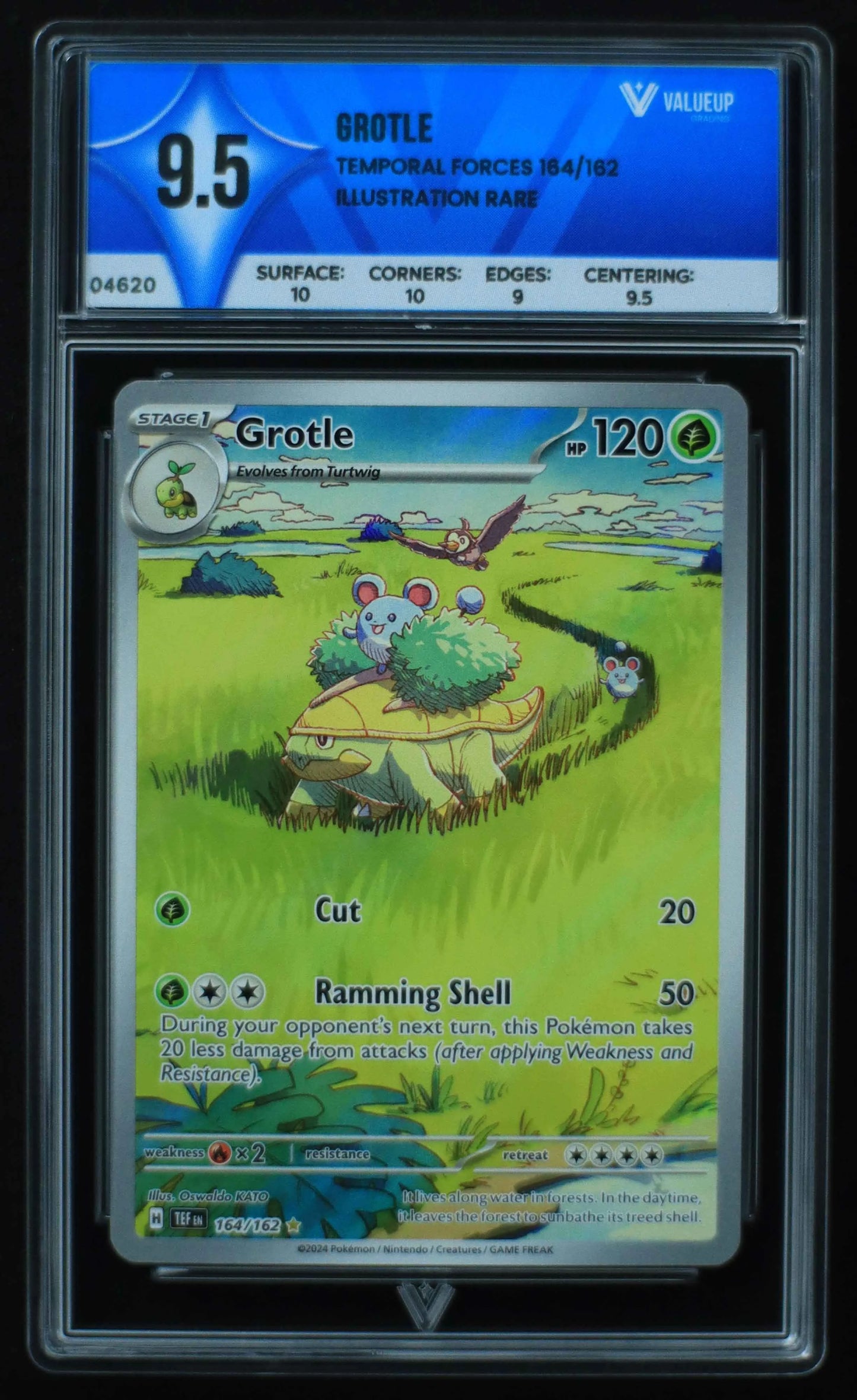 04620 GROTLE - ValueUp