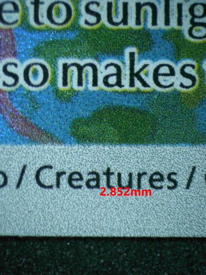 04623 IVYSAUR - ValueUp